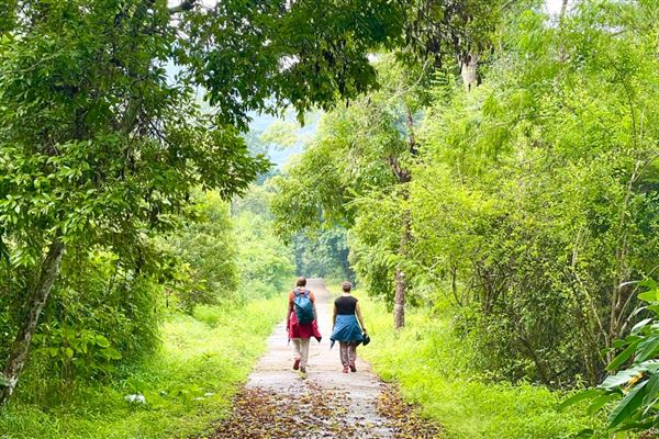 Cat Ba National Park: Half day trekking